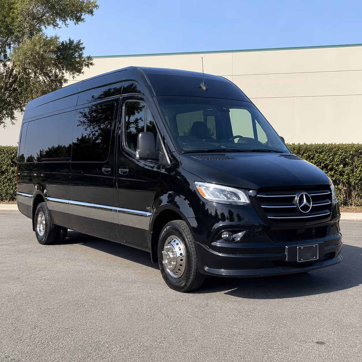 clearwater 15 passenger sprinter van