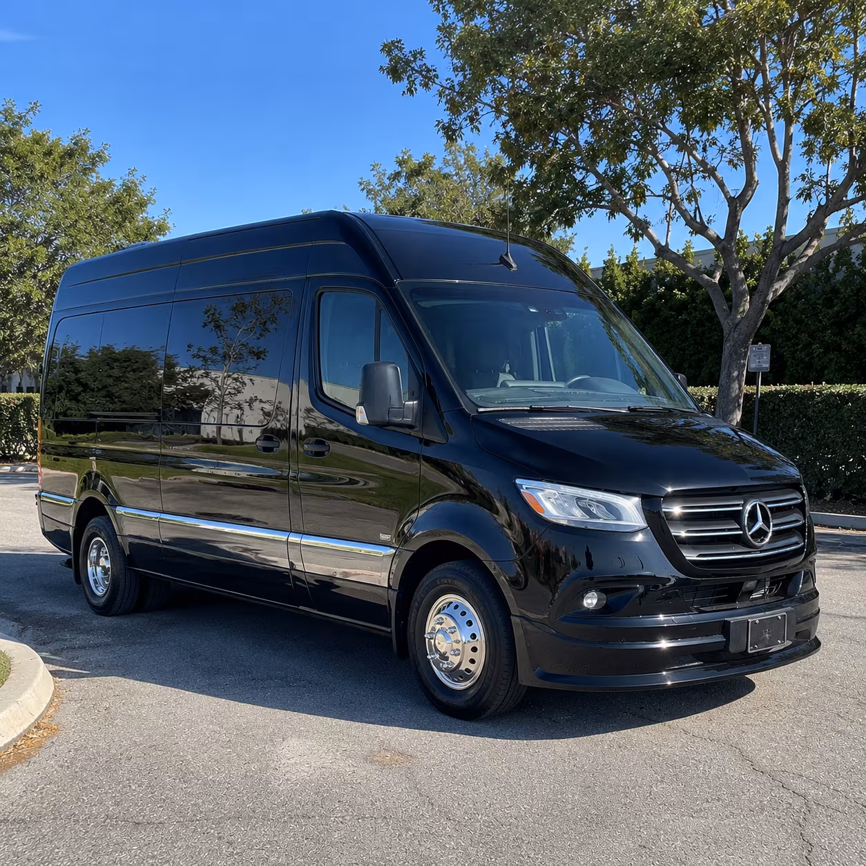 clearwater 8 passenger sprinter van