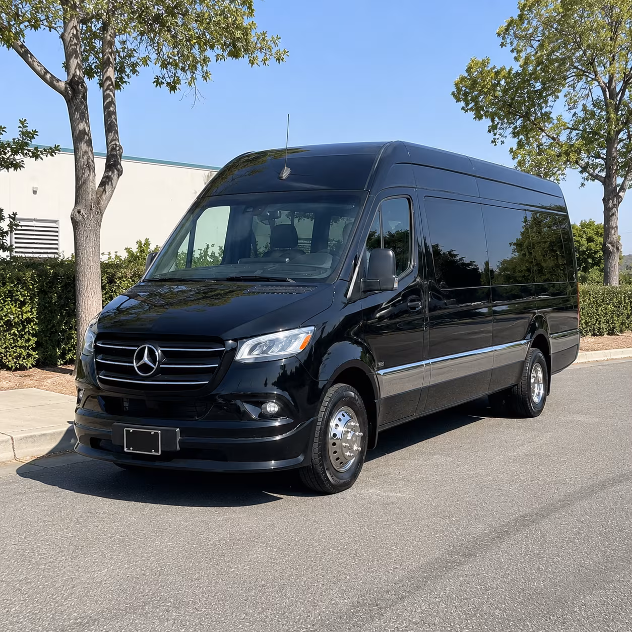clearwater airport sprinter van service